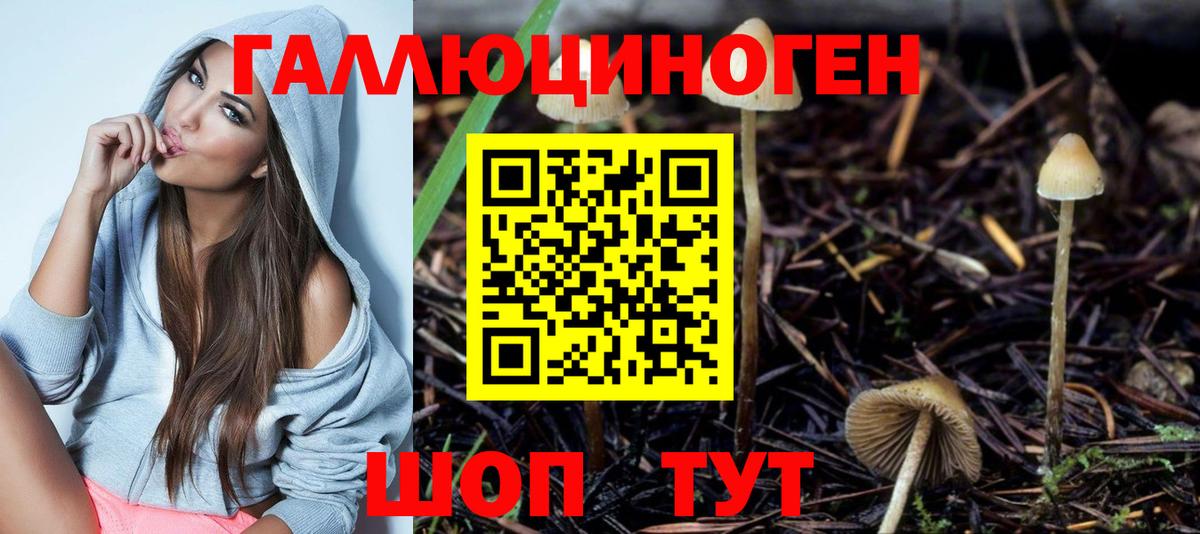 Галлюциногенные грибы Psilocybe  Вход с VPN  Ефремов 
