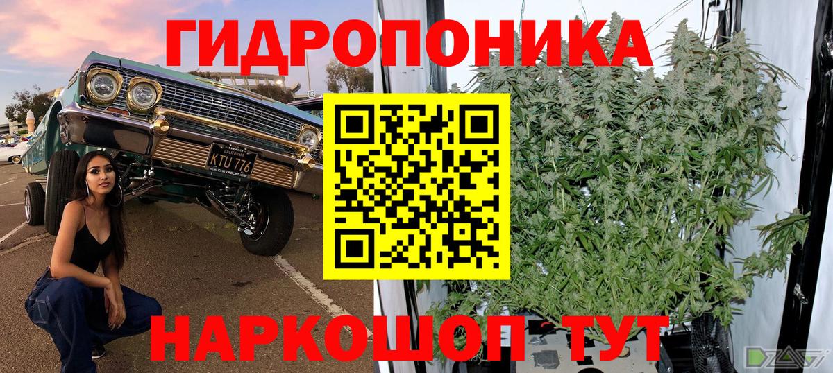 Бошки марихуана гибрид  Вход с VPN  Ефремов  Марихуана тримм 
